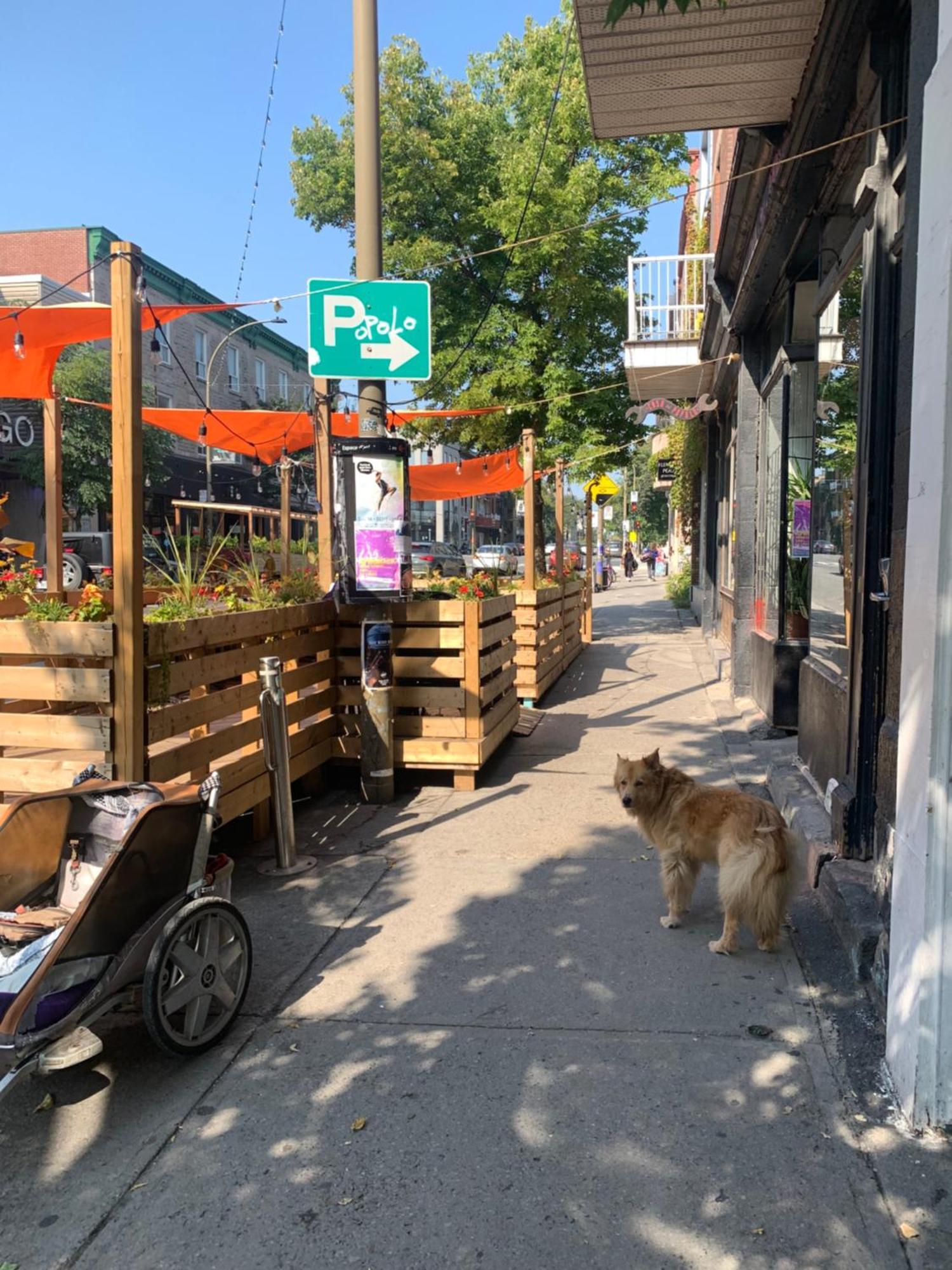 Pensione Popolo Montreal Bagian luar foto